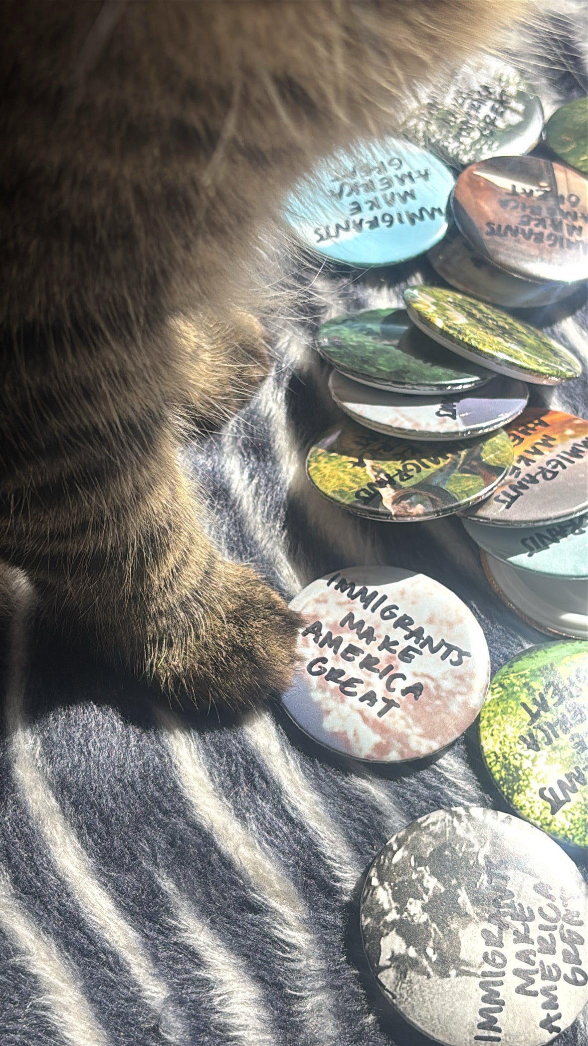 Randomized “Immigrants Make America Great” pin